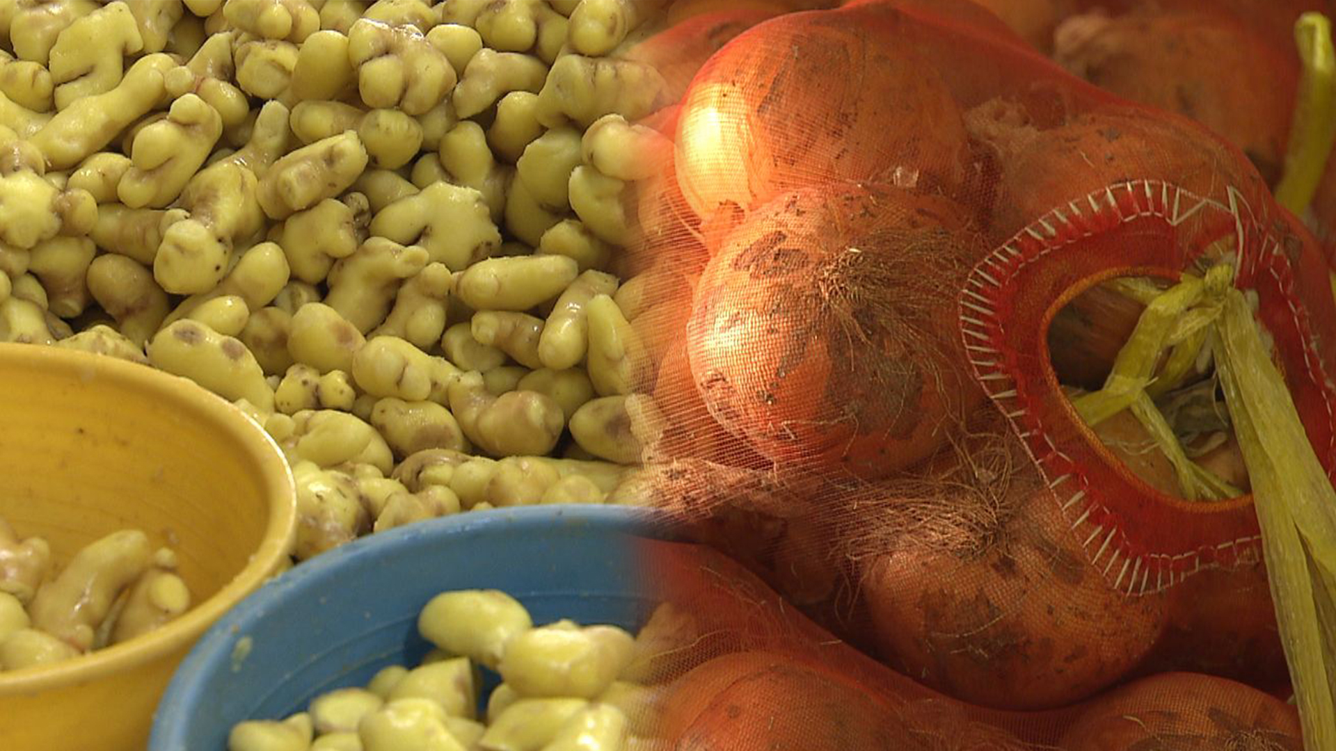 생강 가격 평년 절반 수준..농가 돕기 행사