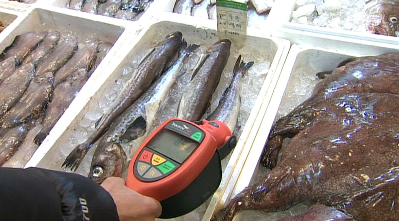 일본산 등 수입 수산물 원산지 표시 집중 단속