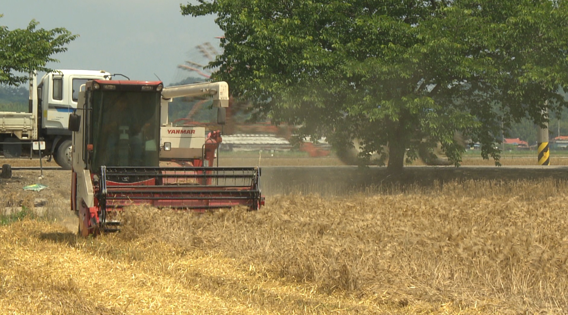 익산시, 벼 재배면적 감축 협약 신청 접수