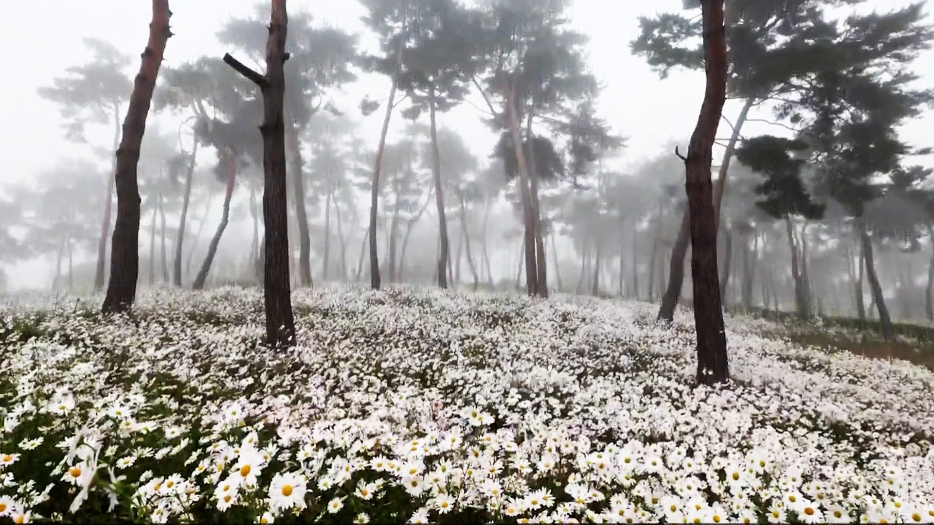 지역소식 (남원·완주·임실·정읍 편)
