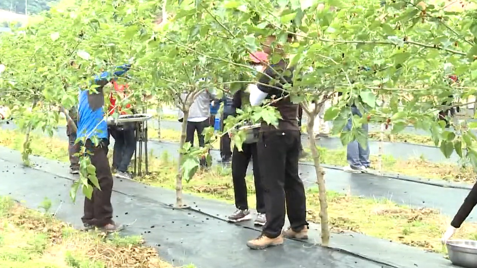 지역소식 (완주·임실·김제·순창 편)