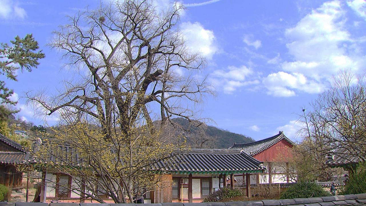 가끔 구름 많은 날씨..낮 기온 20~23도