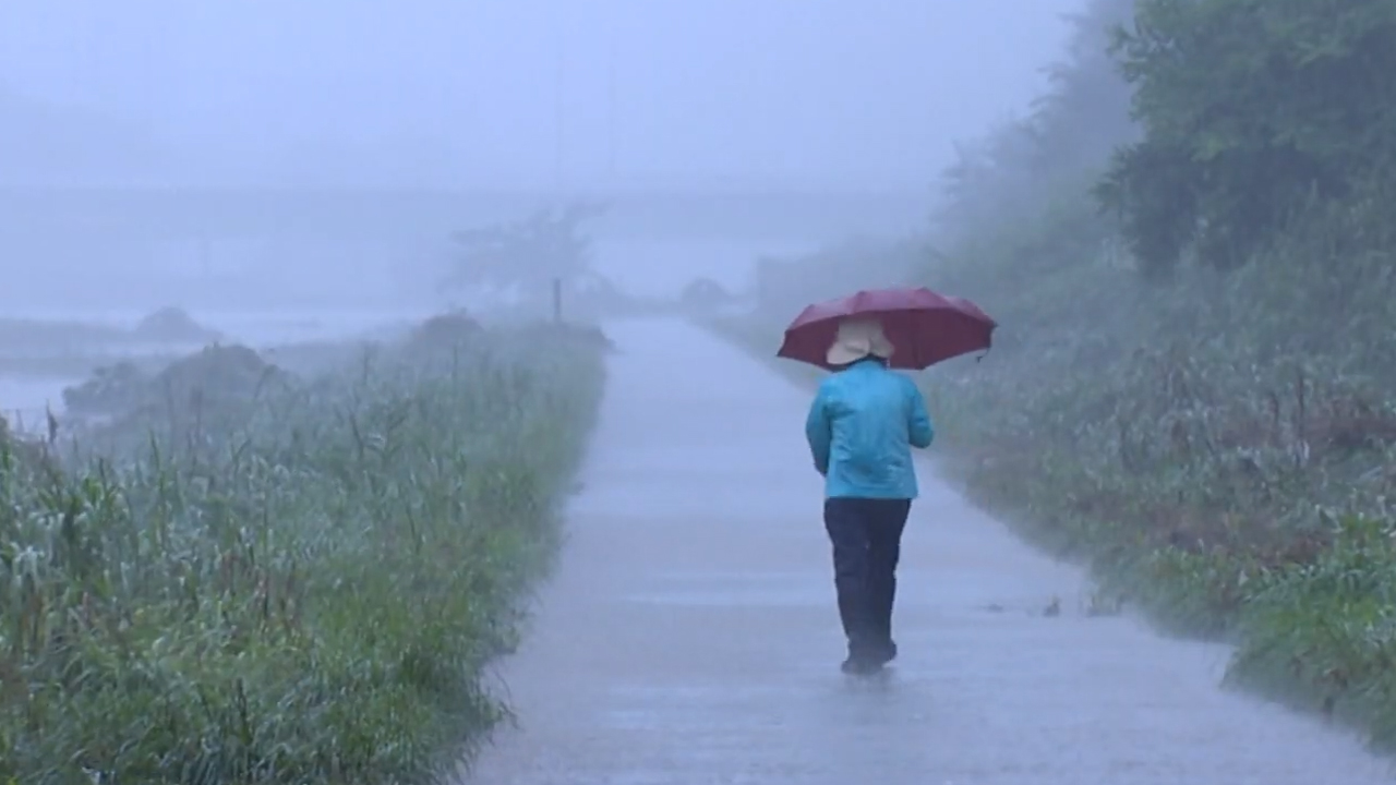 오후까지 동부 내륙 5mm 미만 비..낮기온 22~25도