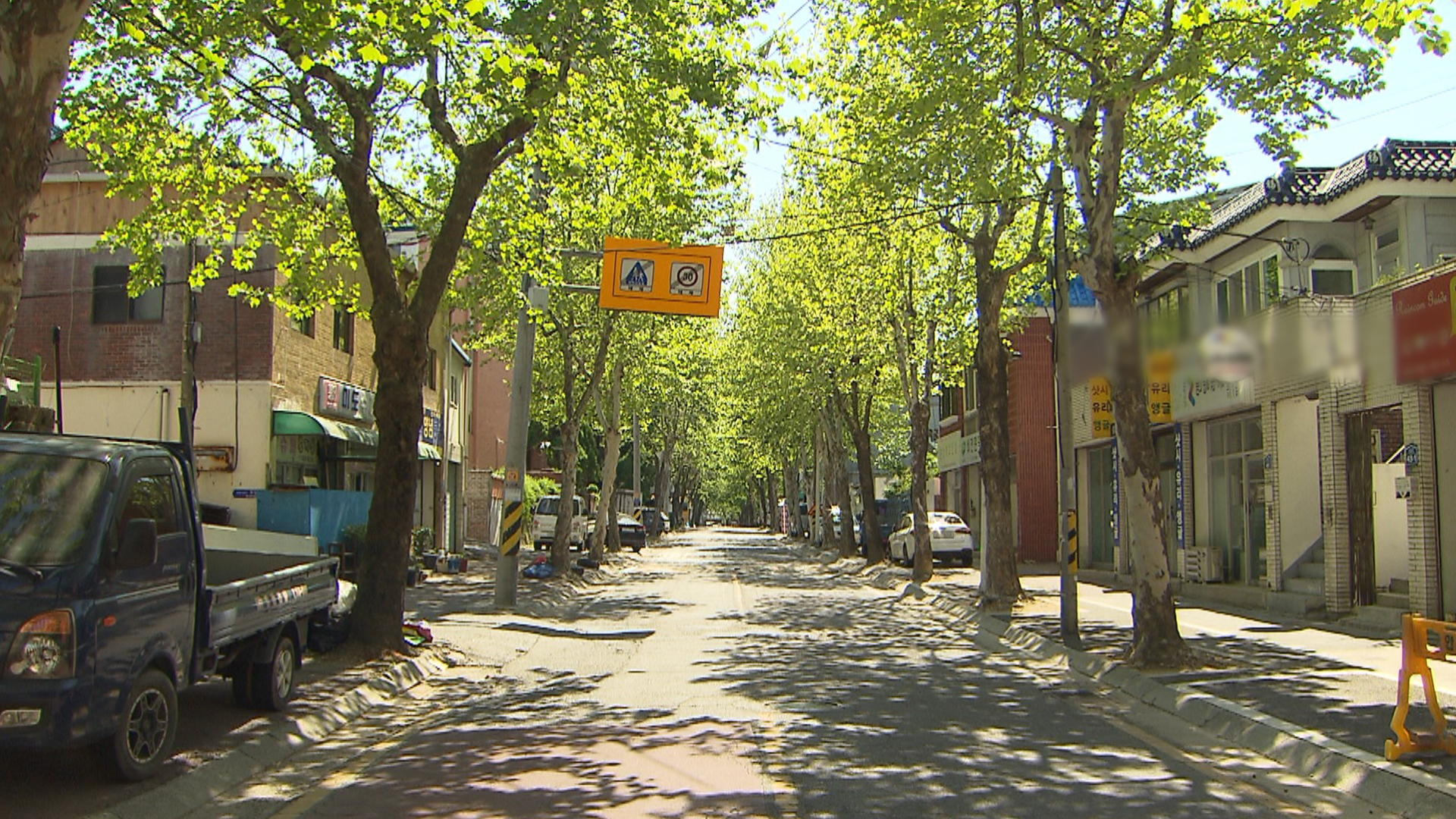 '천만그루 정원도시'라면서 