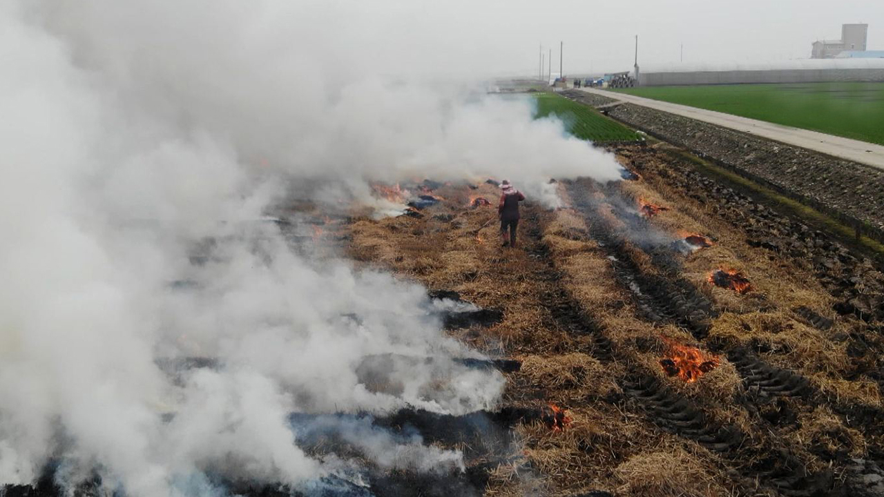 전주시, 보릿대 등 영농 부산물 불법소각 집중 단속