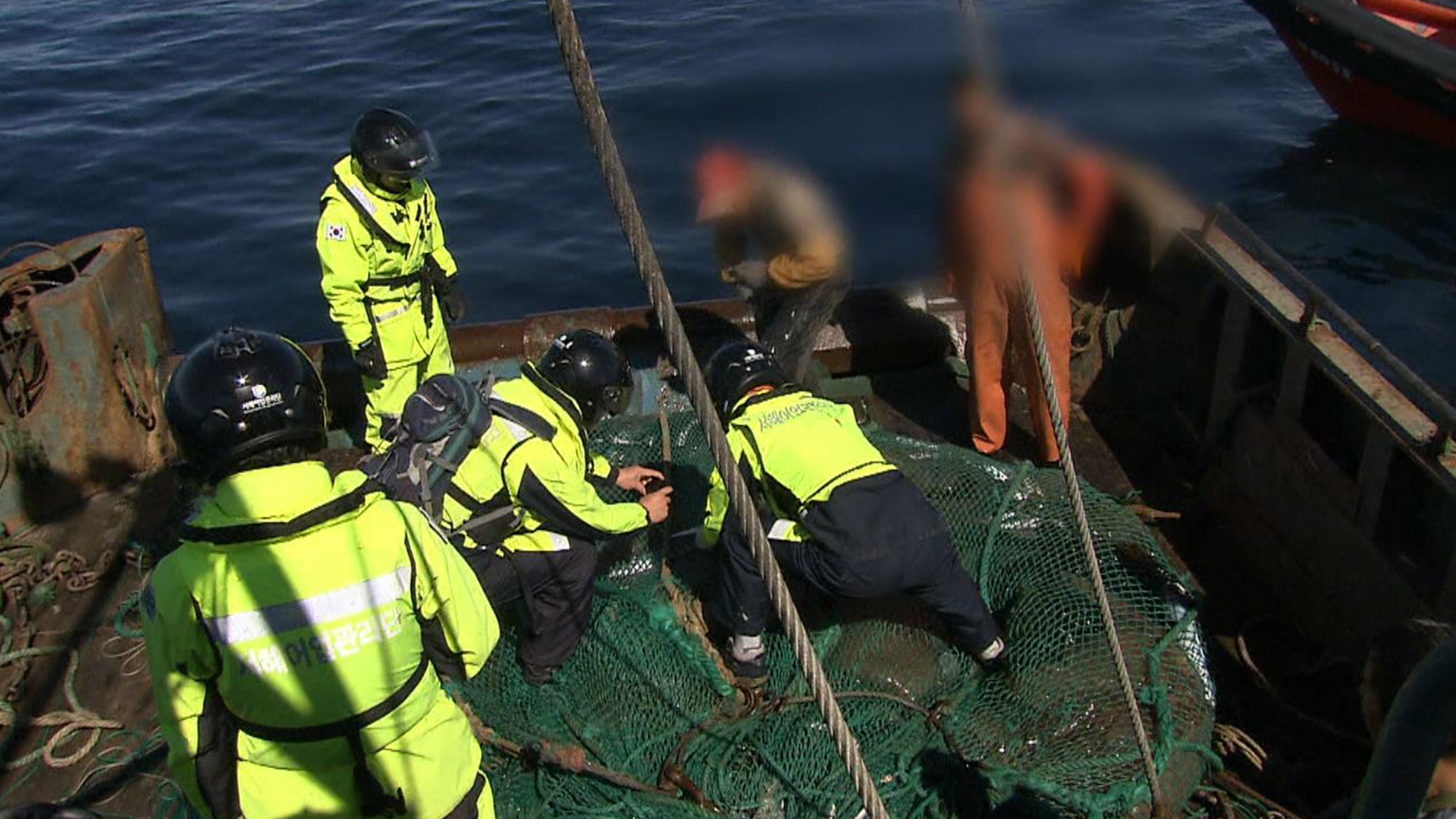 살오징어, 주꾸미 등 포획 금지..산란기 집중 단속
