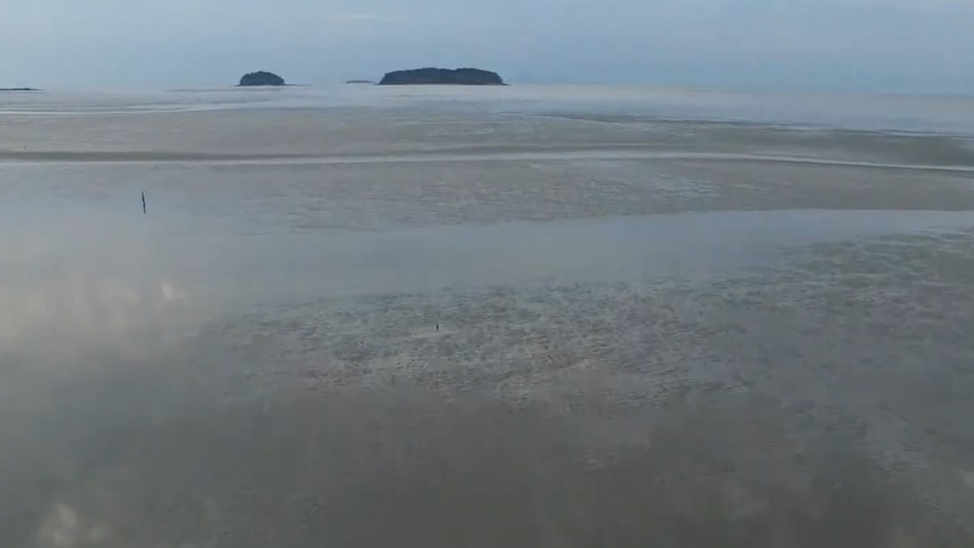 지역 소식 (무주·완주·진안·고창)