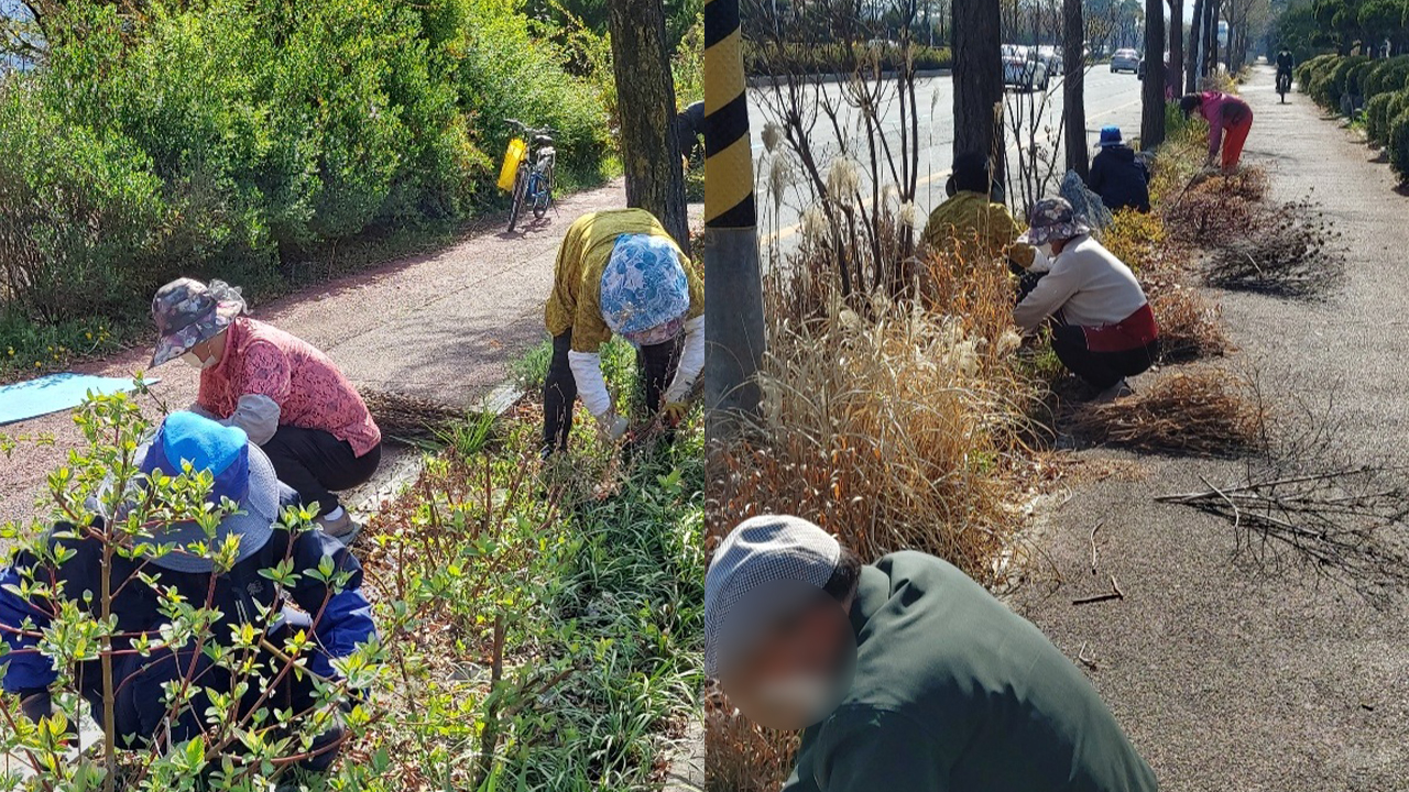 전주시 '천만그루 정원친구들' 활동 시작