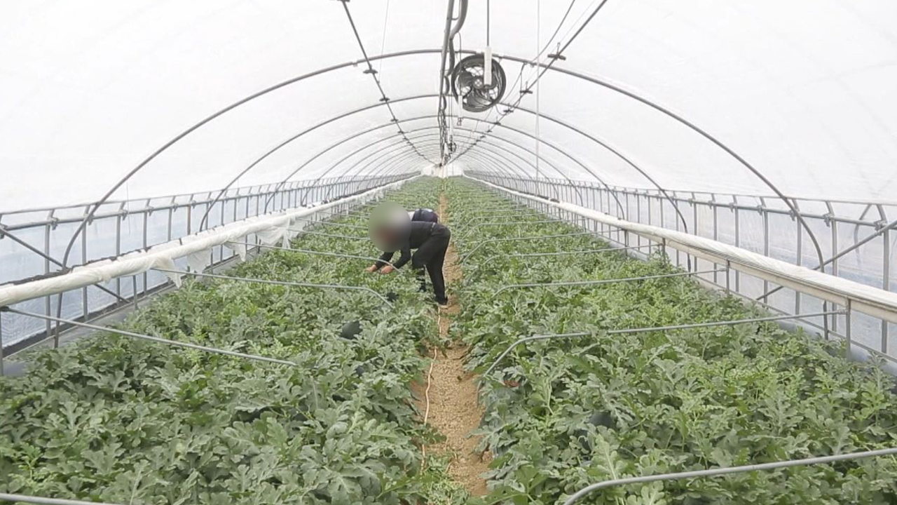 지난해 농가소득 7.2% 증가..농업외 소득 확대가 원인