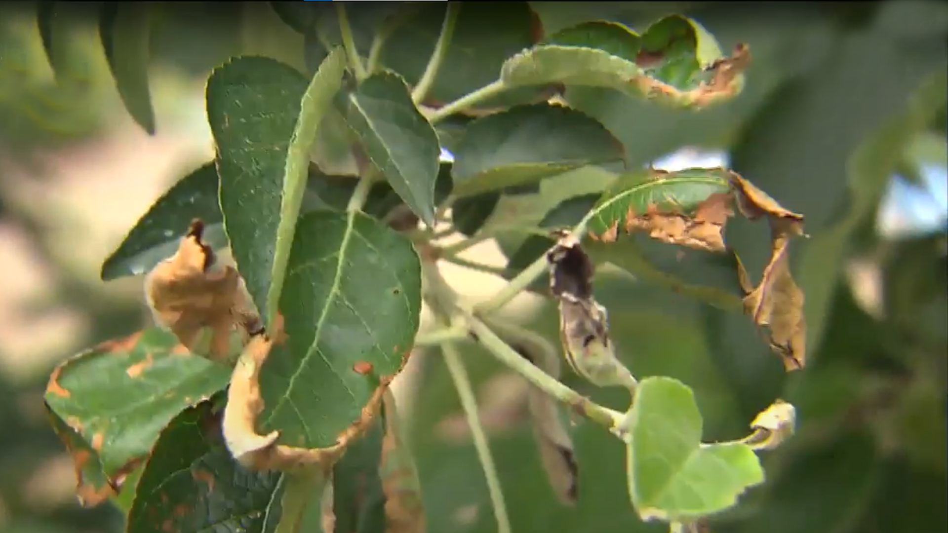 농촌진흥청, 내일부터 '재해대책상황실' 운영