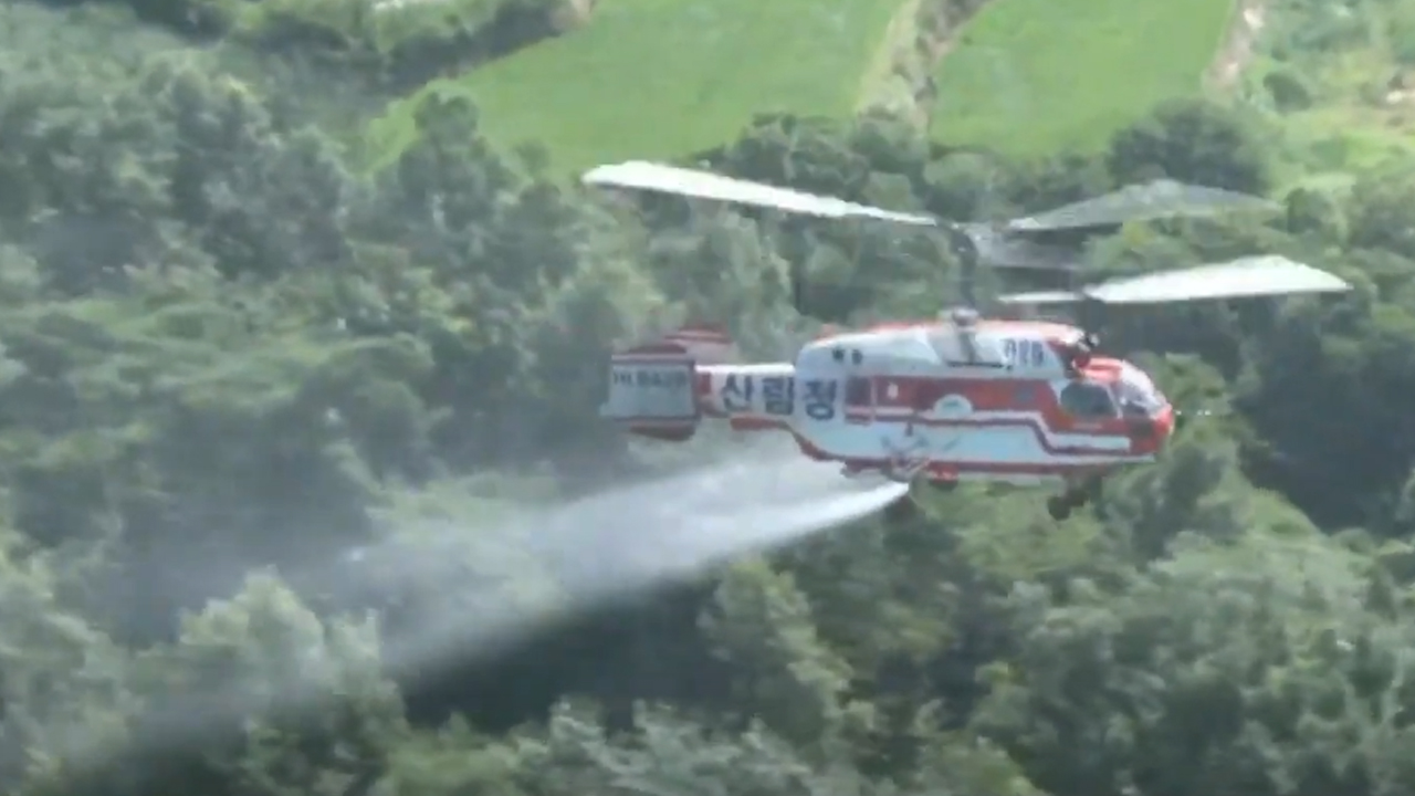 익산시, 기상이변 따른 산림병해충 방제 돌입