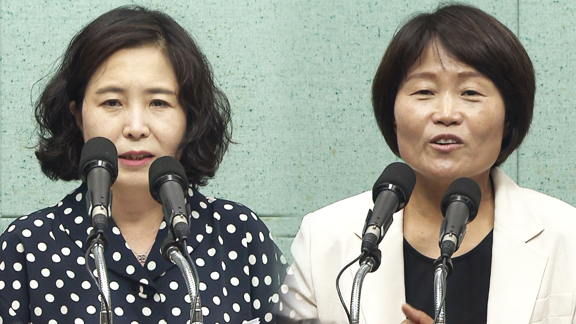 국힘 이수진은 부의장, 진보 오은미 상임위원장 도전