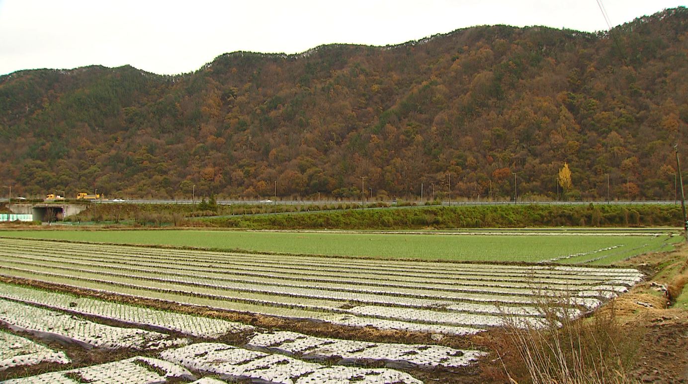 농지·축사 상속 최대 30억 원까지 공제