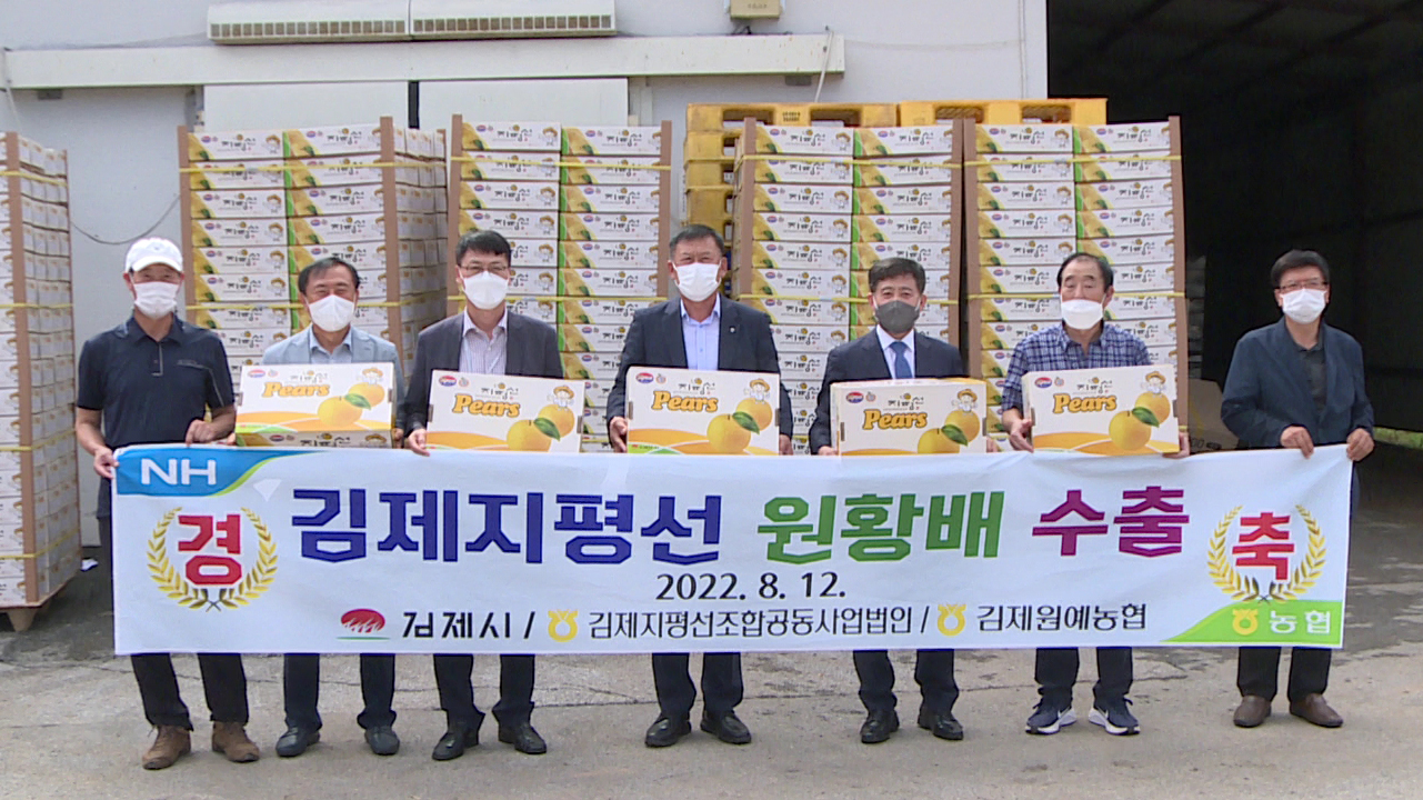 김제 지평선 배 13톤 태국으로 첫 수출, 상차식