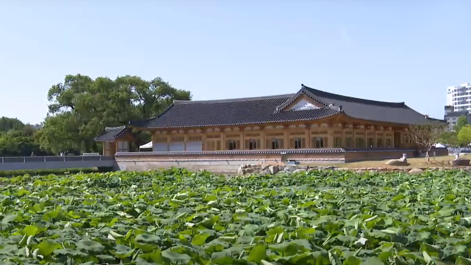 전주 덕진공원 연못 정화 켐페인, 16일 진행