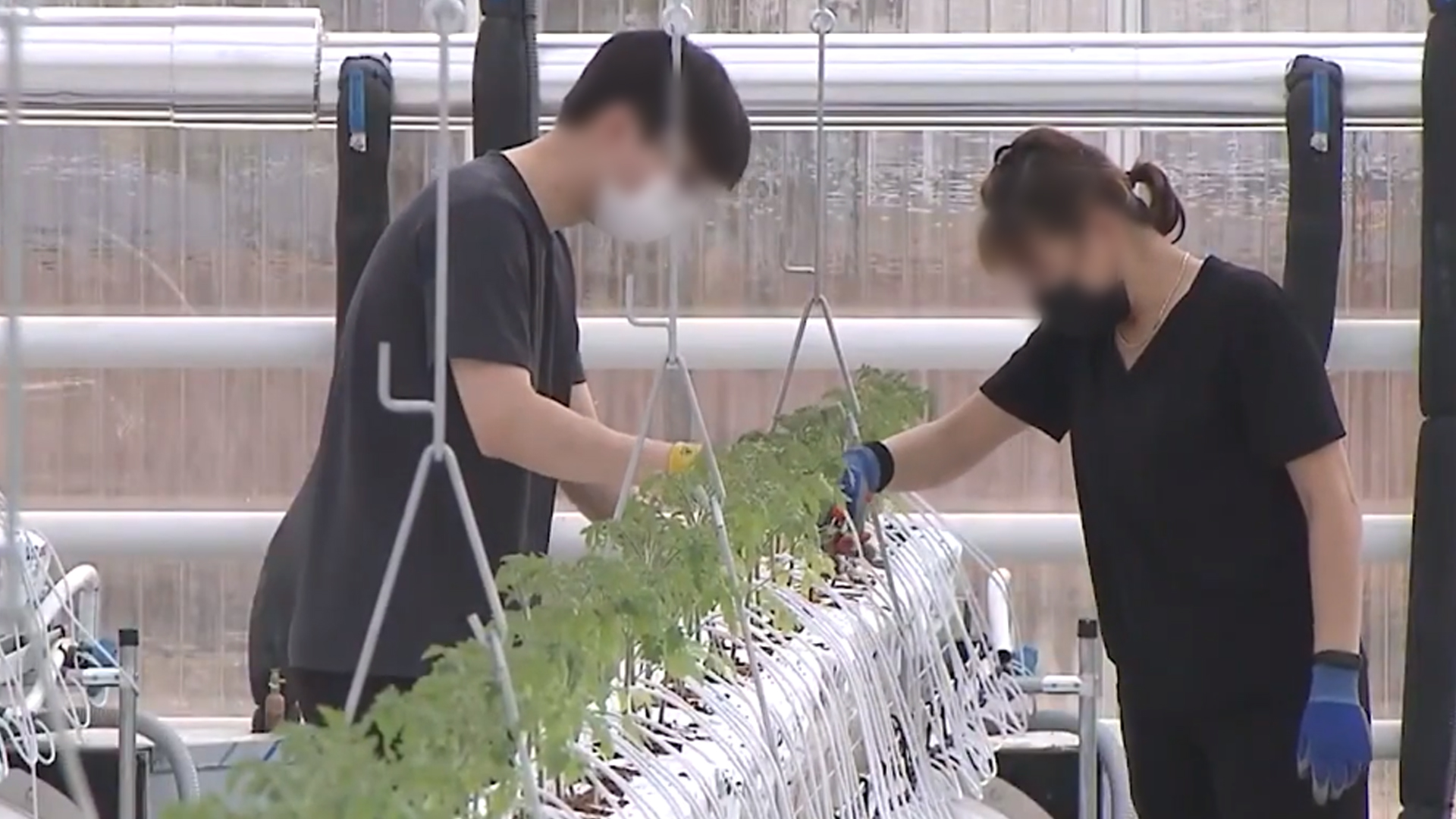 스마트농업 인공지능 경진대회 참가자 모집