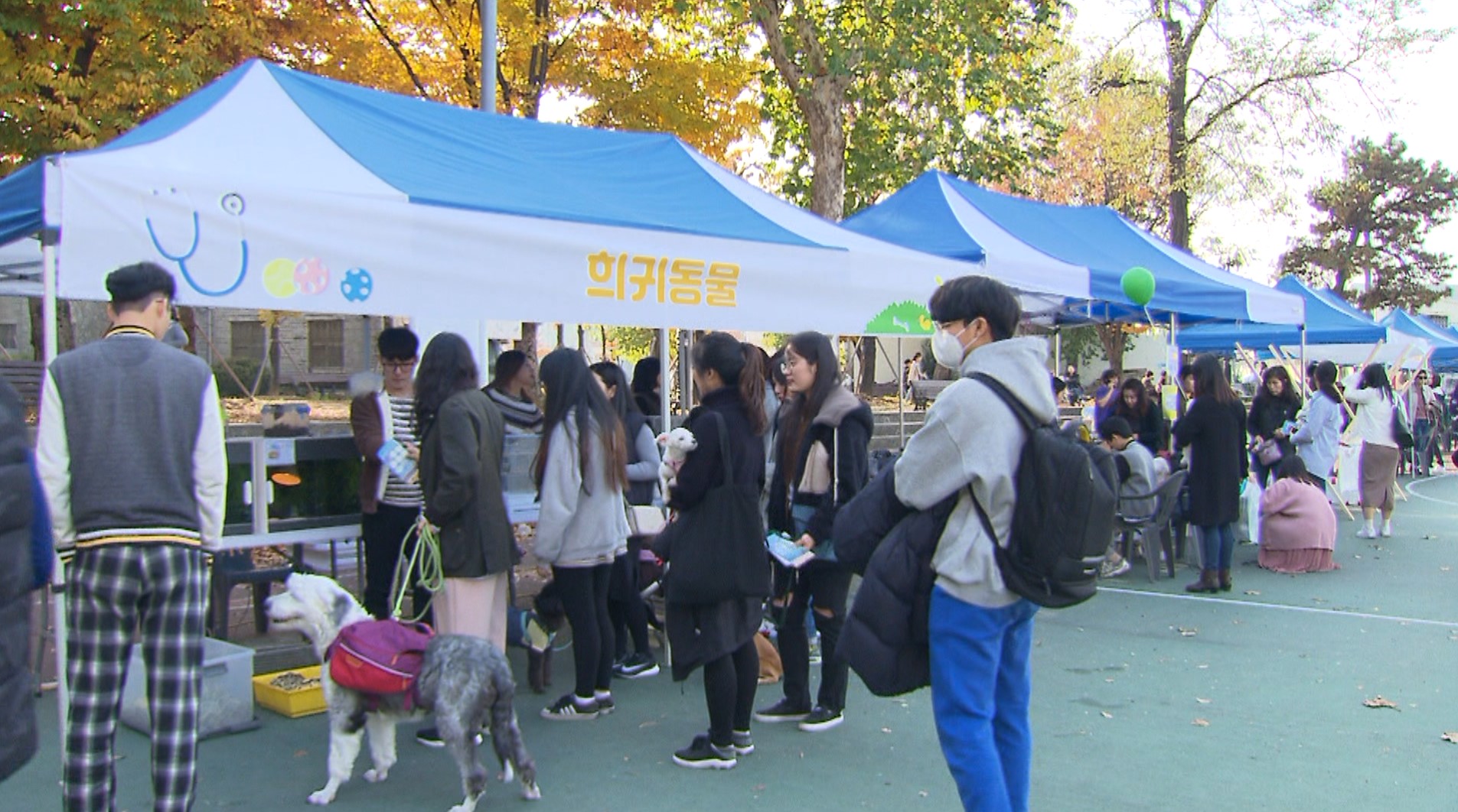 전북대 수의대, 오는 24일 '반려동물 한마당' 진행