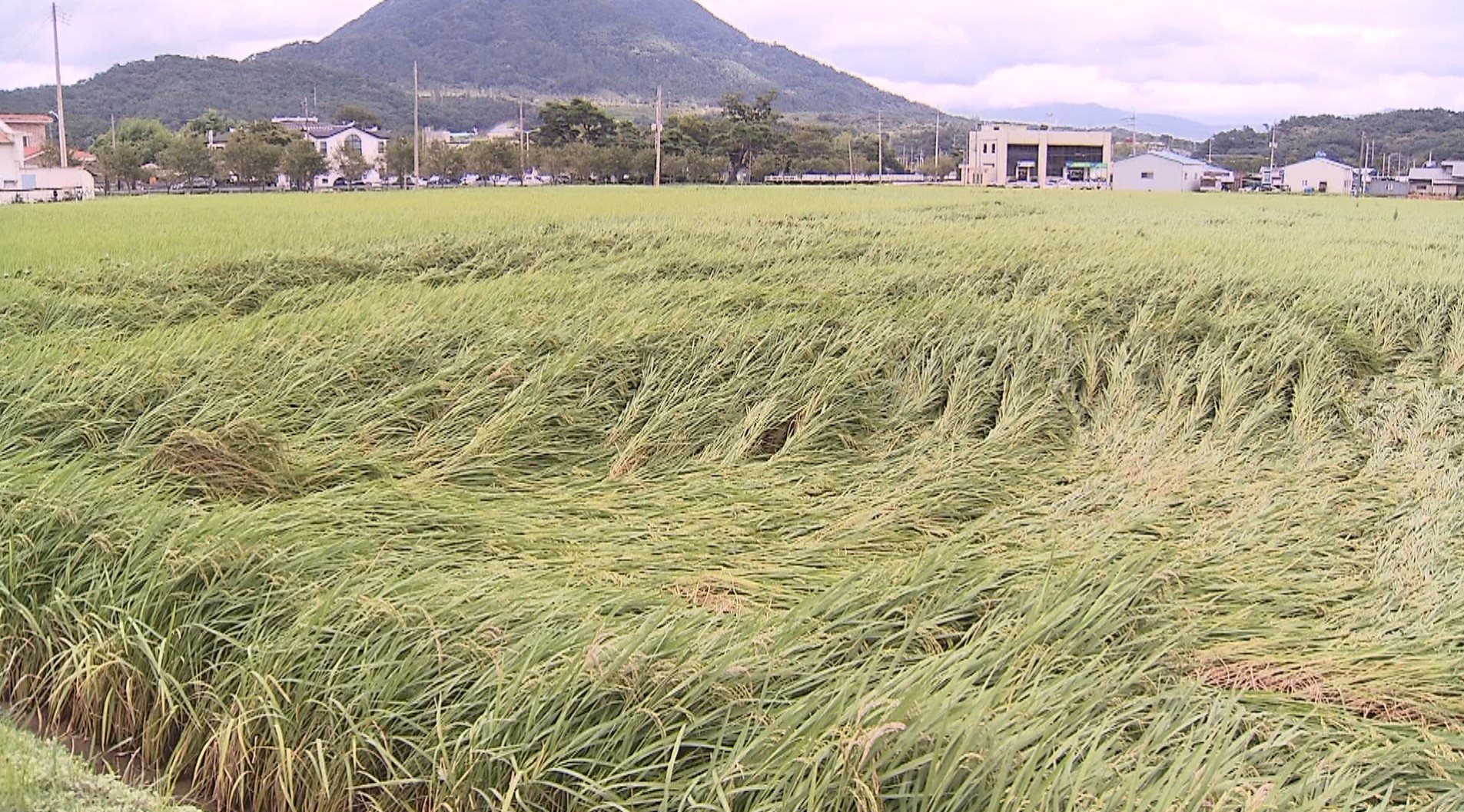 농업 기상재해 경보시스템, 보급과 이용 저조