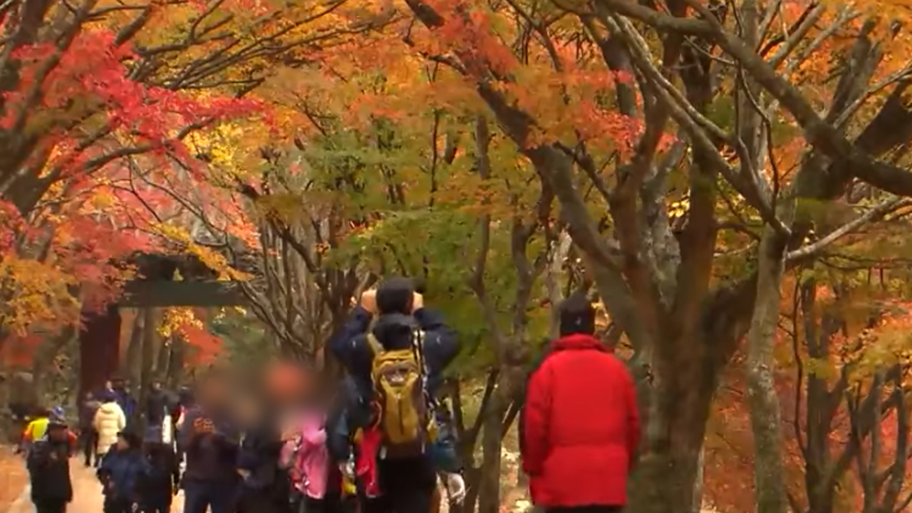 내장산 이번주 첫 단풍..정읍시 행락지 위생점검