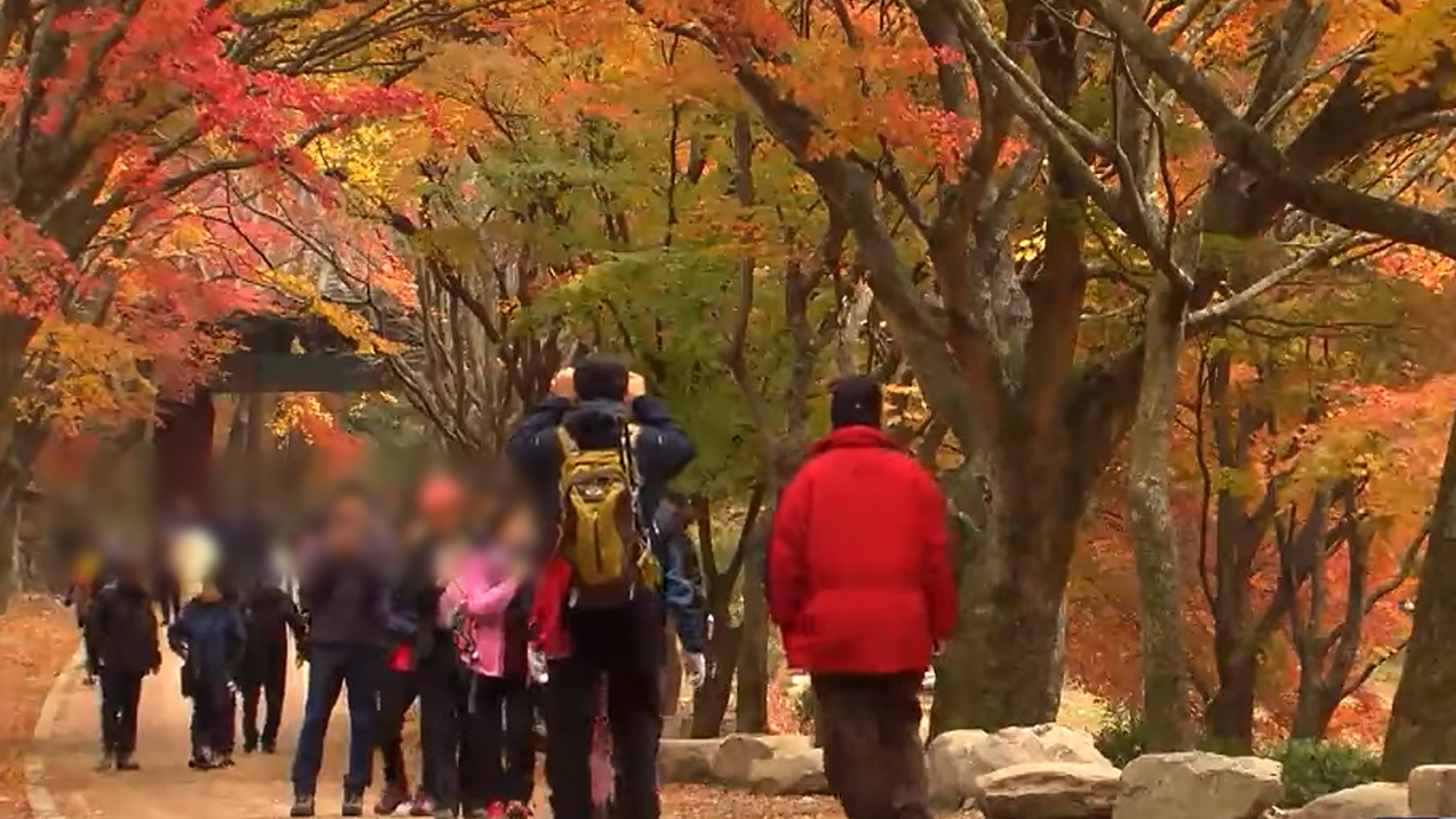 전북도, 단풍 천리길 11개 노선 선정