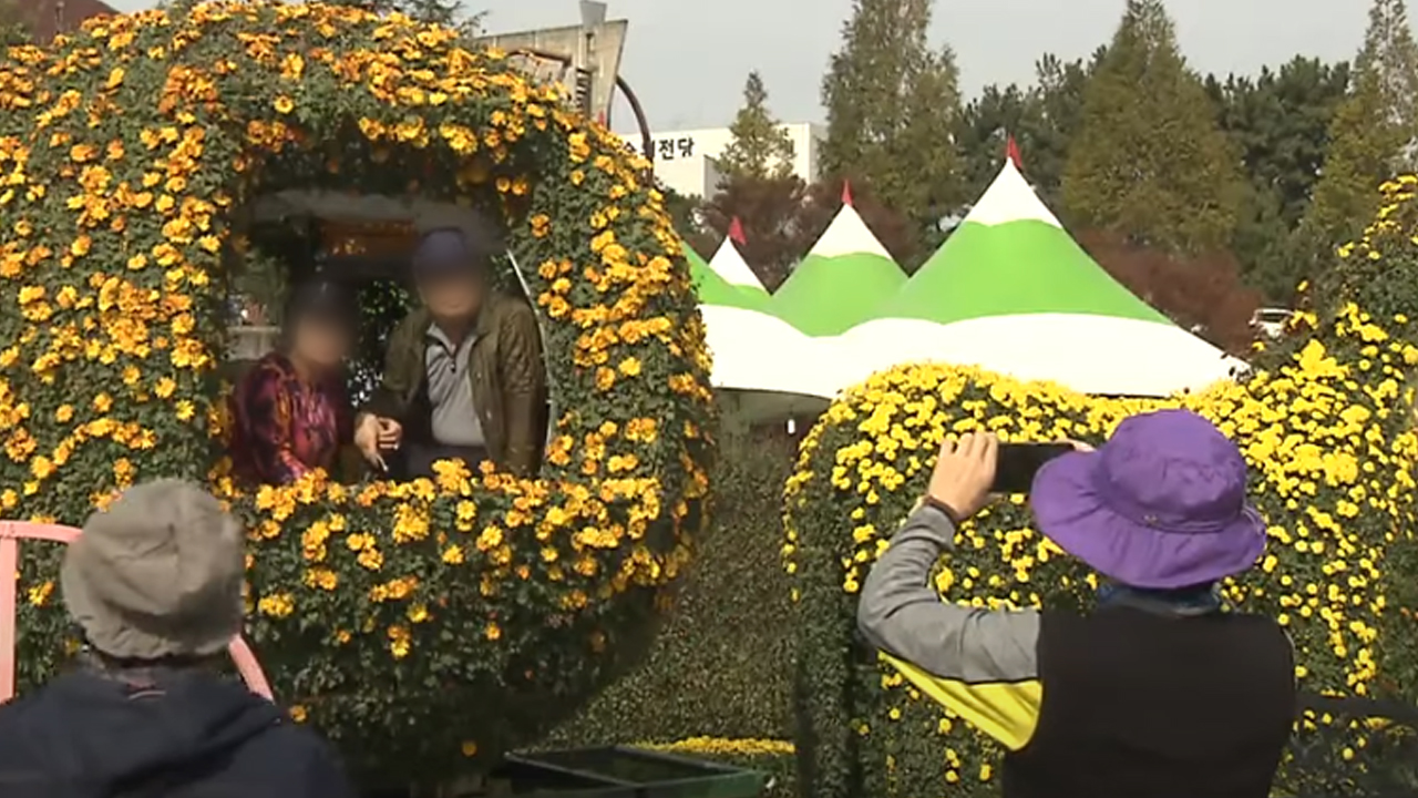 '익산 천만송이 국화축제' 21일부터 열흘간 개최