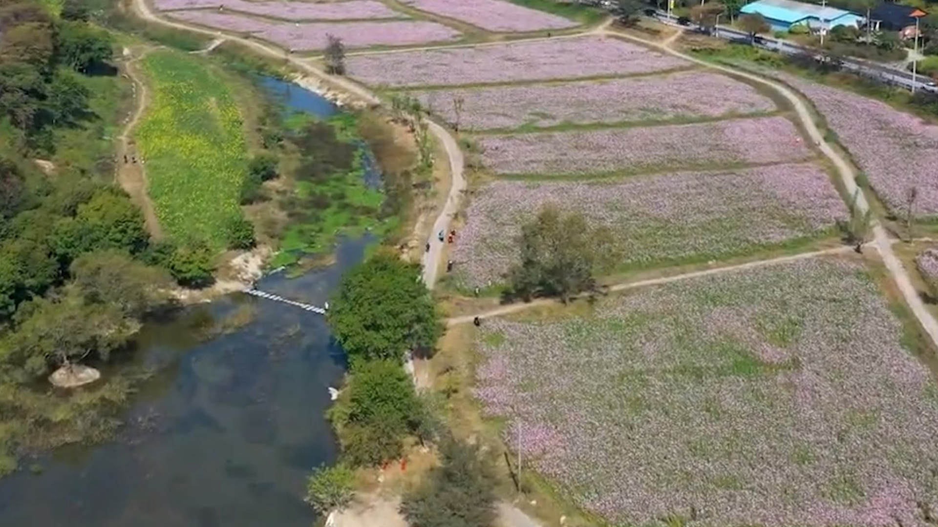 지역 소식 (완주·정읍·익산·순창)