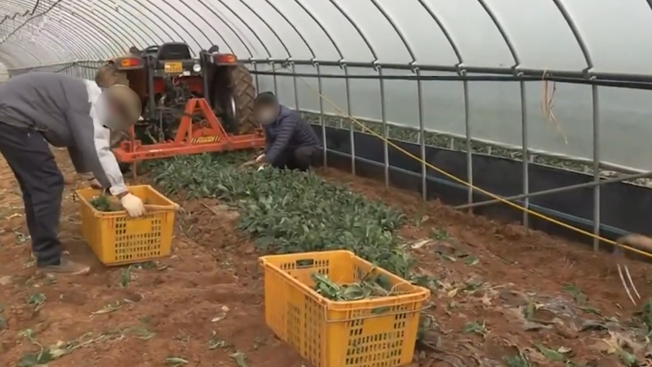 외국인노동자 입국 시기 1월부터 가능하게