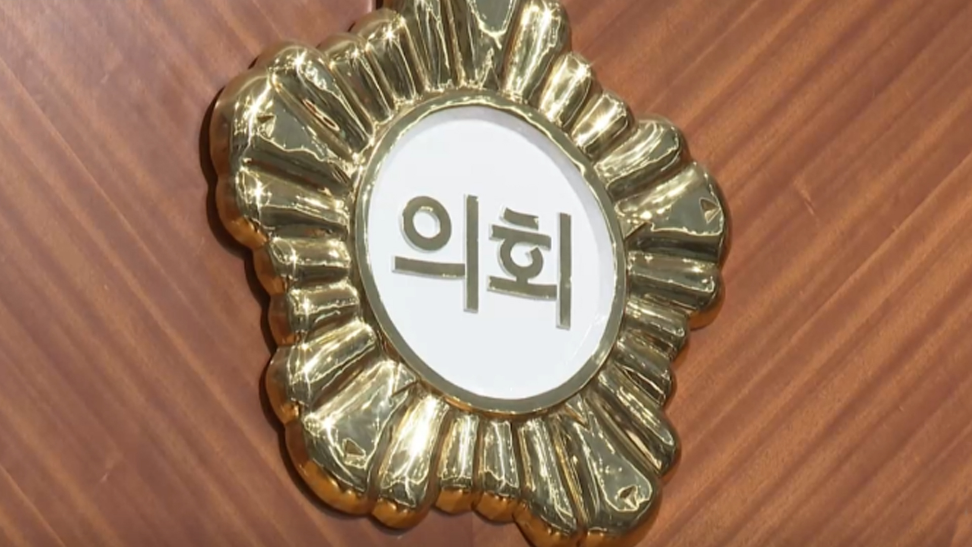 의회마다 '자체 징계기준'.. 징계 무력화 의도
