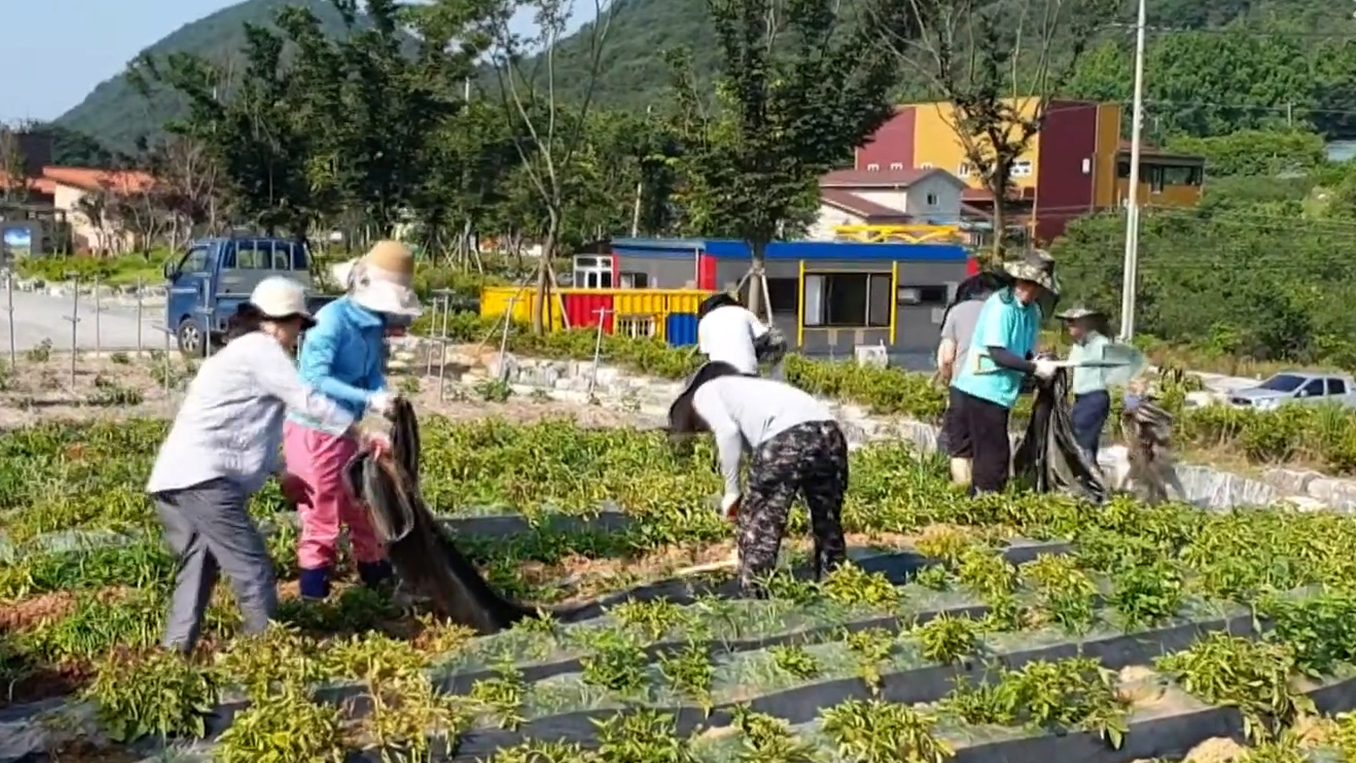 지역소식 (순창·진안·고창·남원 편)