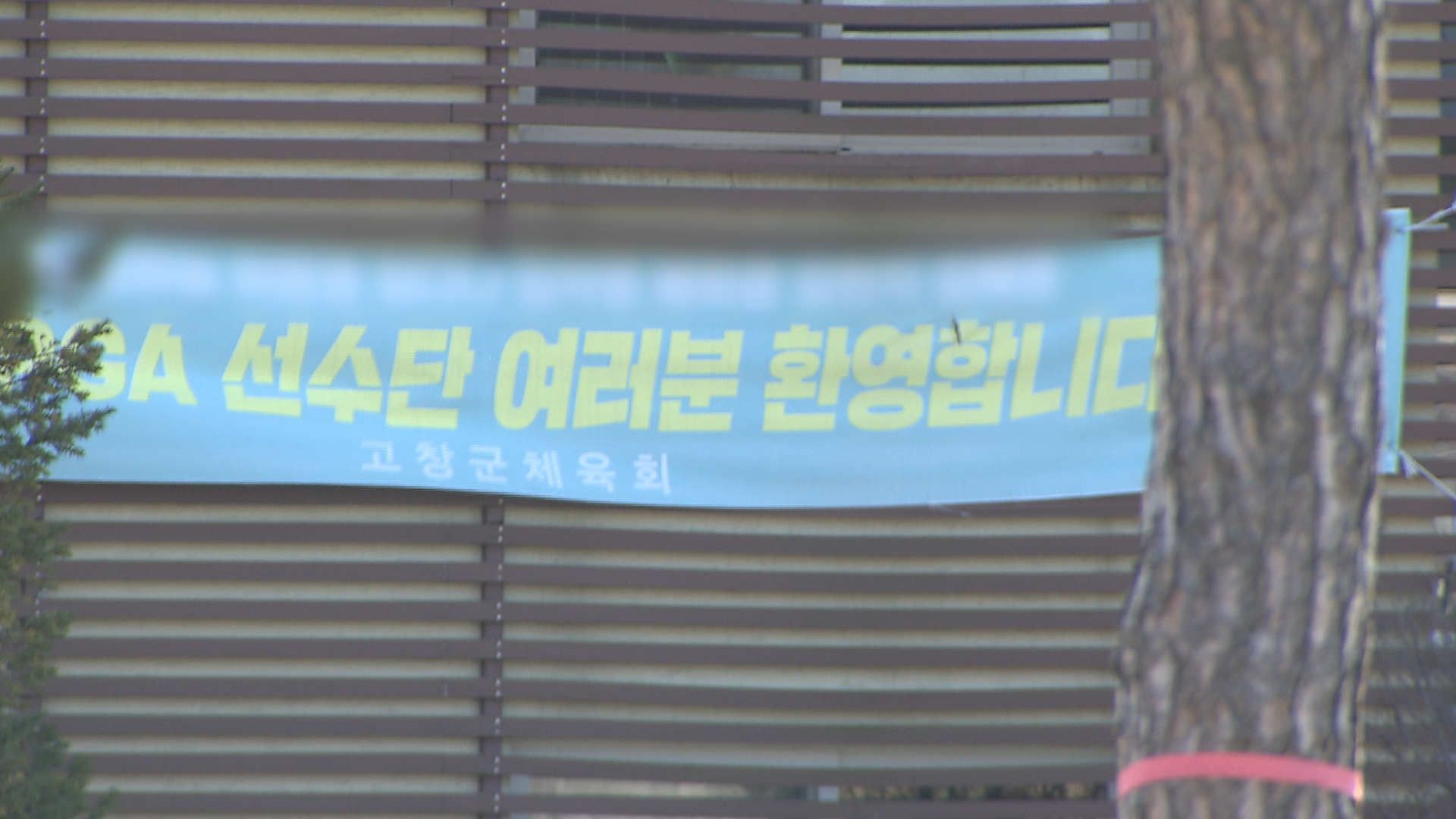 체육회장 식당에 '회식 몰아주기'.. 