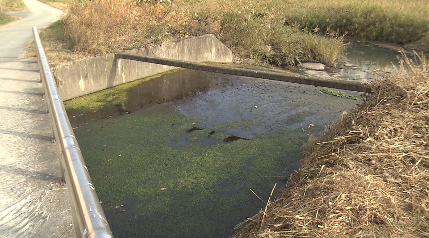 설 명절 연휴 환경오염행위 특별단속..