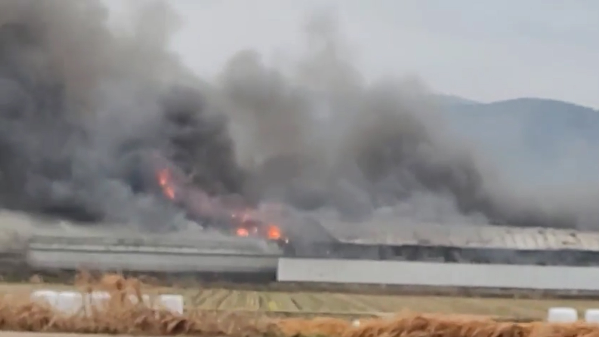 부안 양계장에서 불.. 축사 1동, 닭 4만여 마리 소사