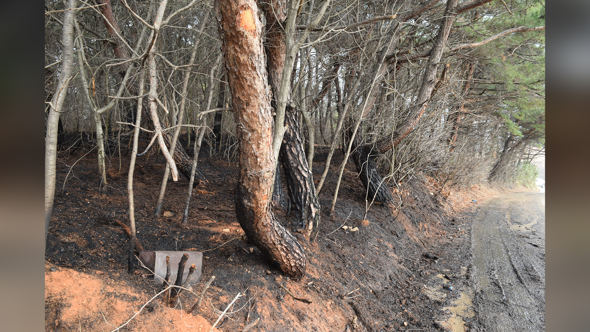 80대 노인 소각하다 화재, 얼굴 화상