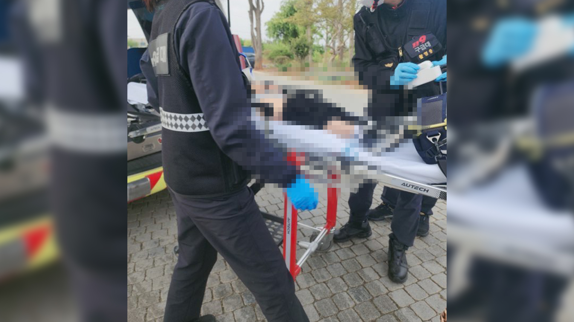 초등학생 개물림 사고..중학생 견주 송치