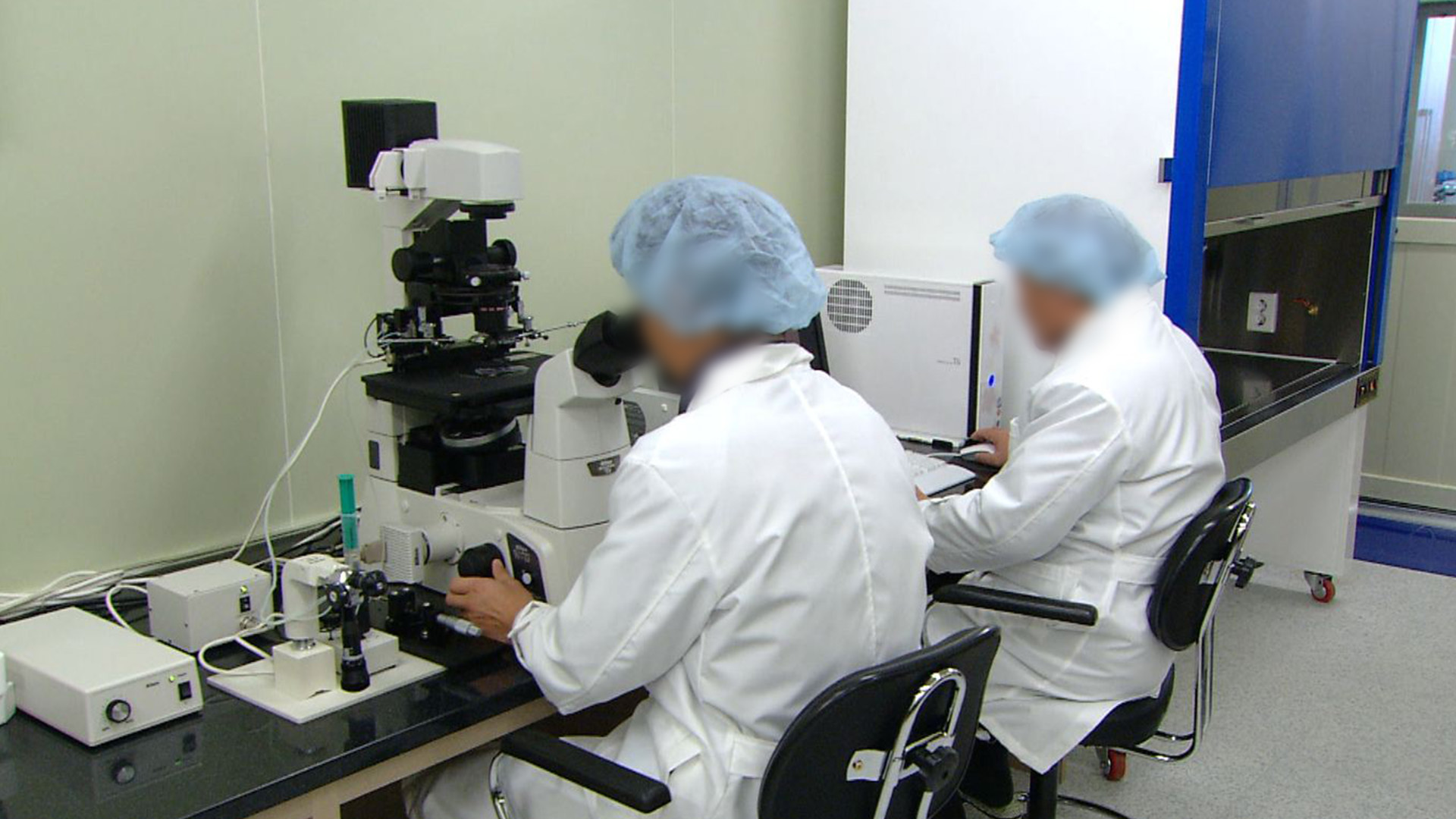 전북 서해안서 올해 첫 '비브리오패혈증균' 검출