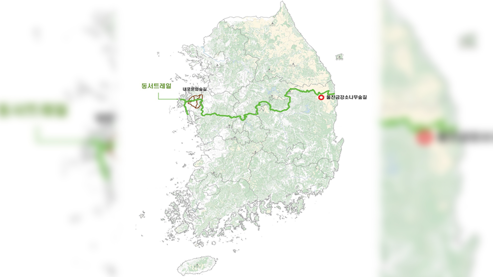 한반도 동서 잇는 849km 숲길 생긴다.. 