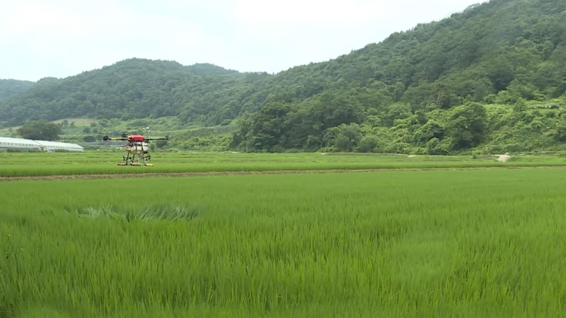 [글로컬 전북] 지역 소식 (고창·무주·임실·장수)
