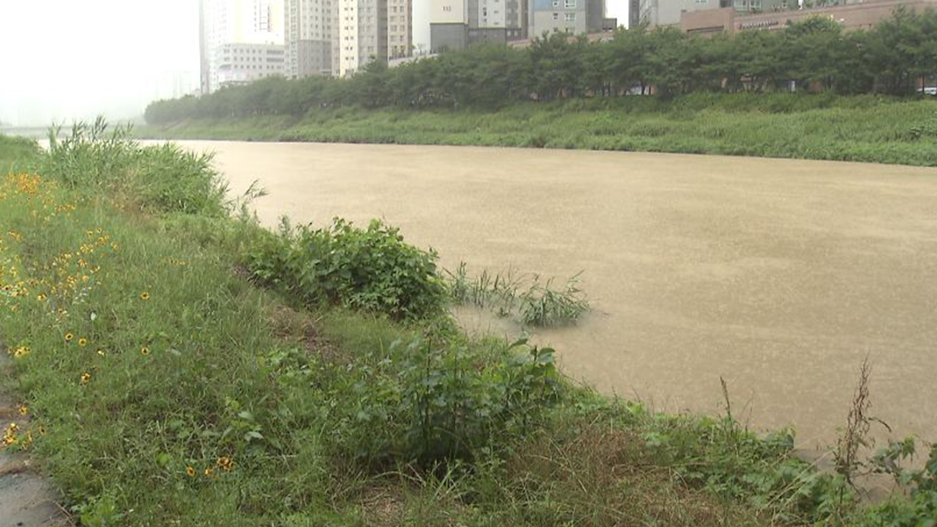 [전북날씨] 도내 전역 호우경보..모레까지 100~200㎜, 최대 300㎜ 비 예보