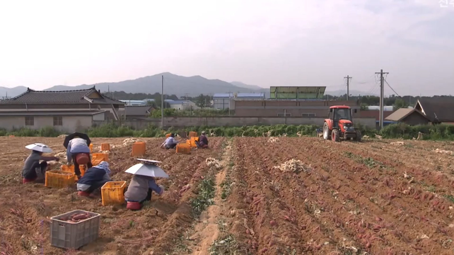 [글로컬 전북] 지역 소식 (고창·완주·익산·남원)