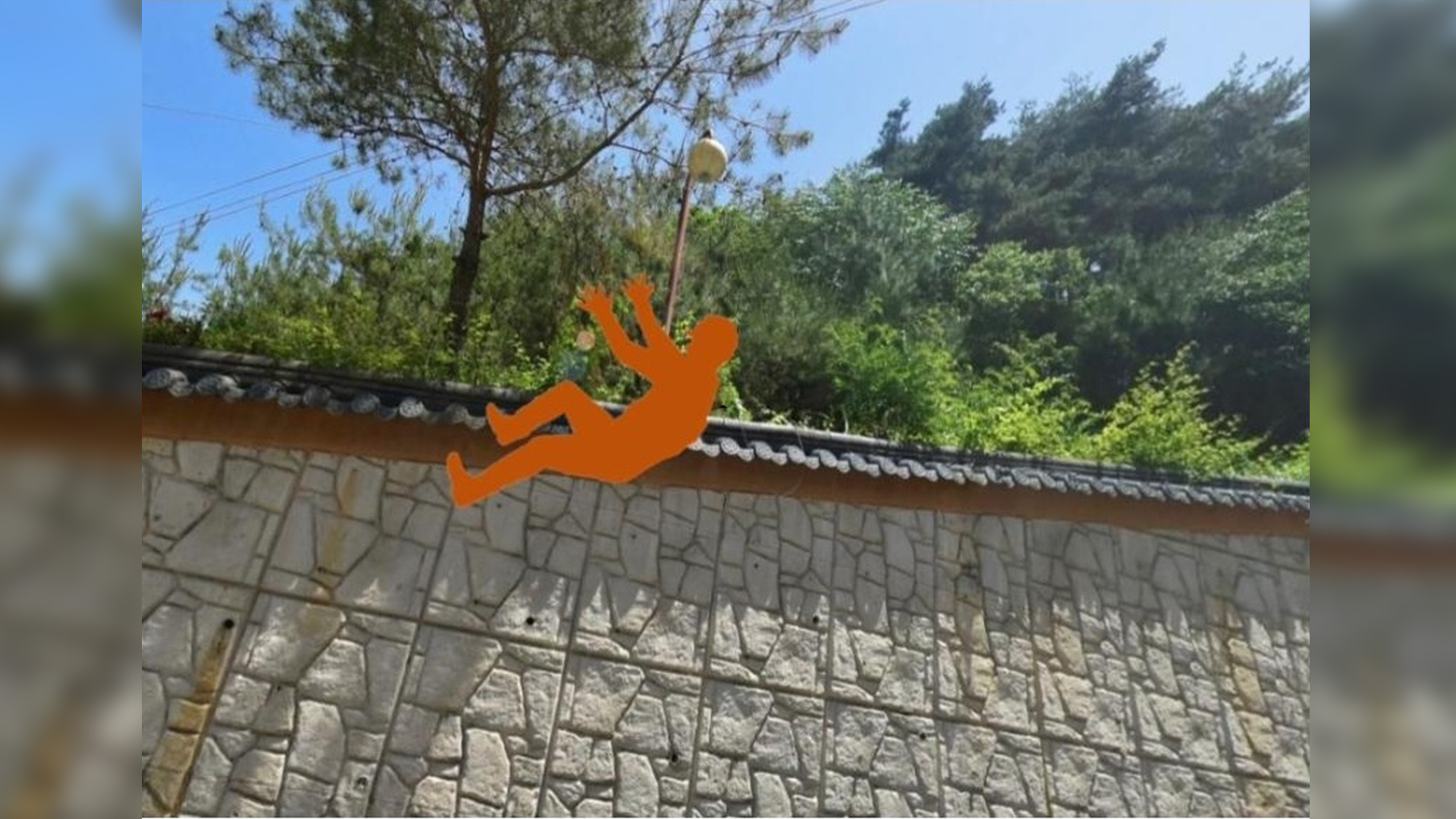 남원에서 벌목하던 60대, 쓰러진 나무에 맞아 추락사