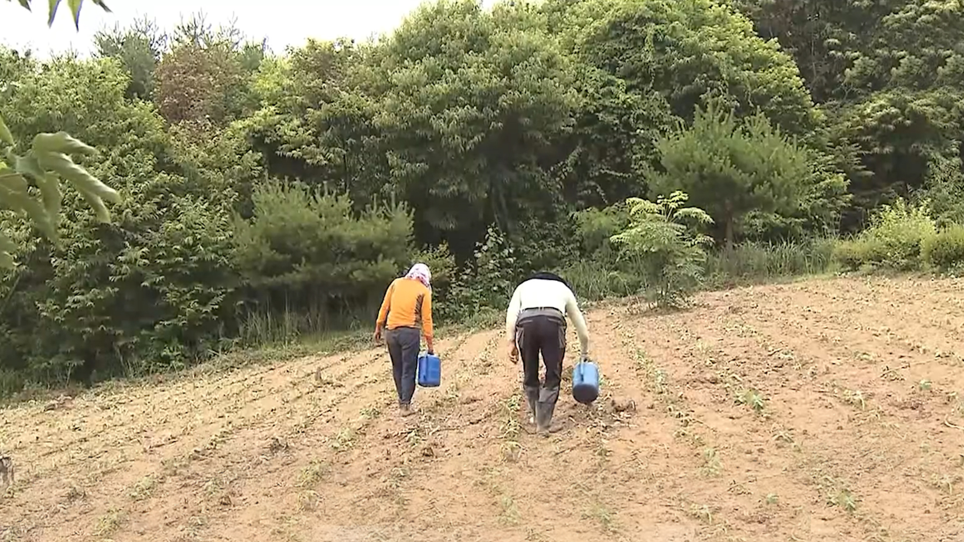 [글로컬 전북] 지역 소식 (남원·고창·김제·순창)