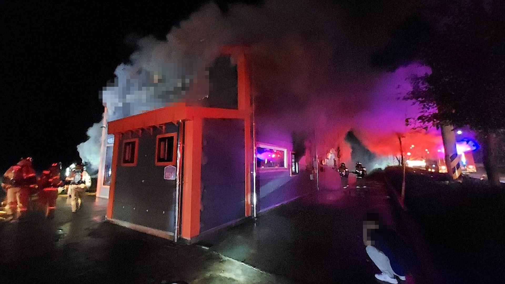 식용곤충 사육장에서 불..2억 5천여만 원 피해