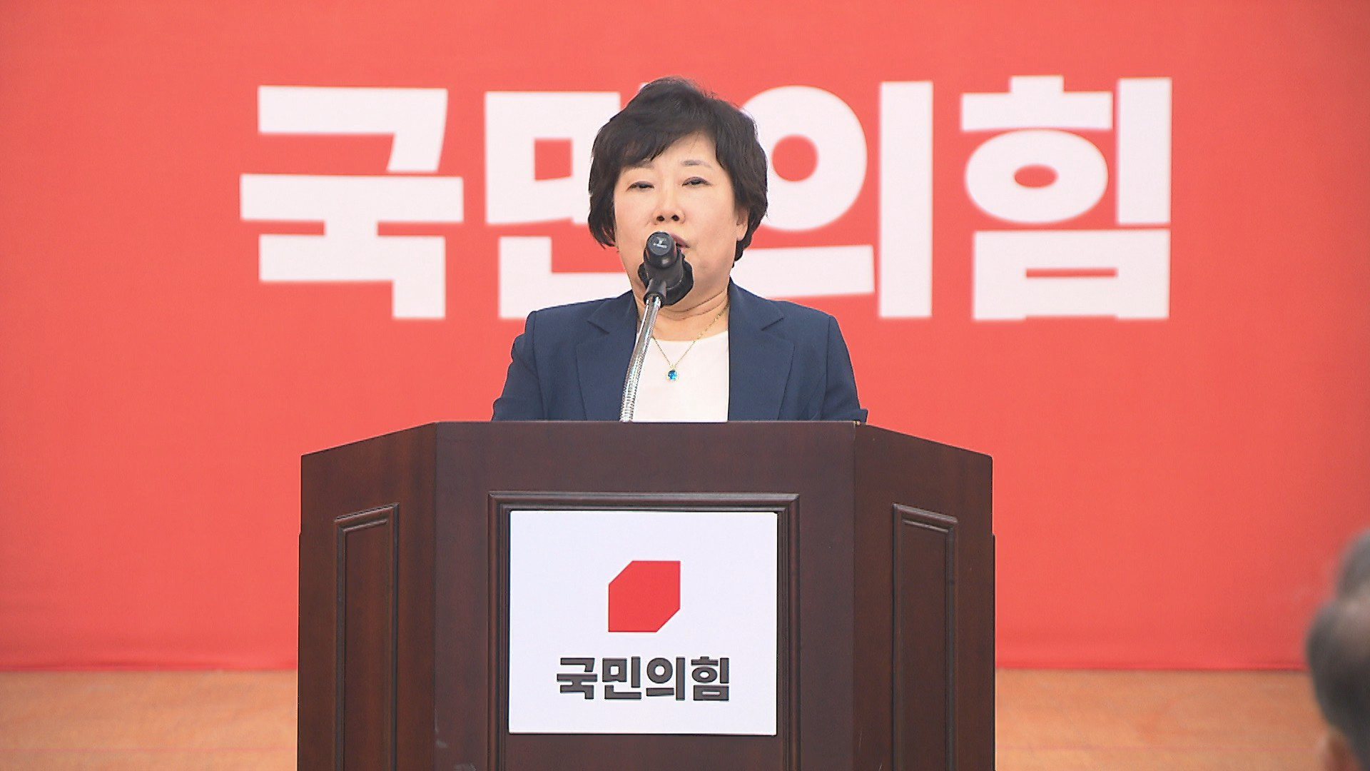 조배숙 국힘 전북도당 위원장 