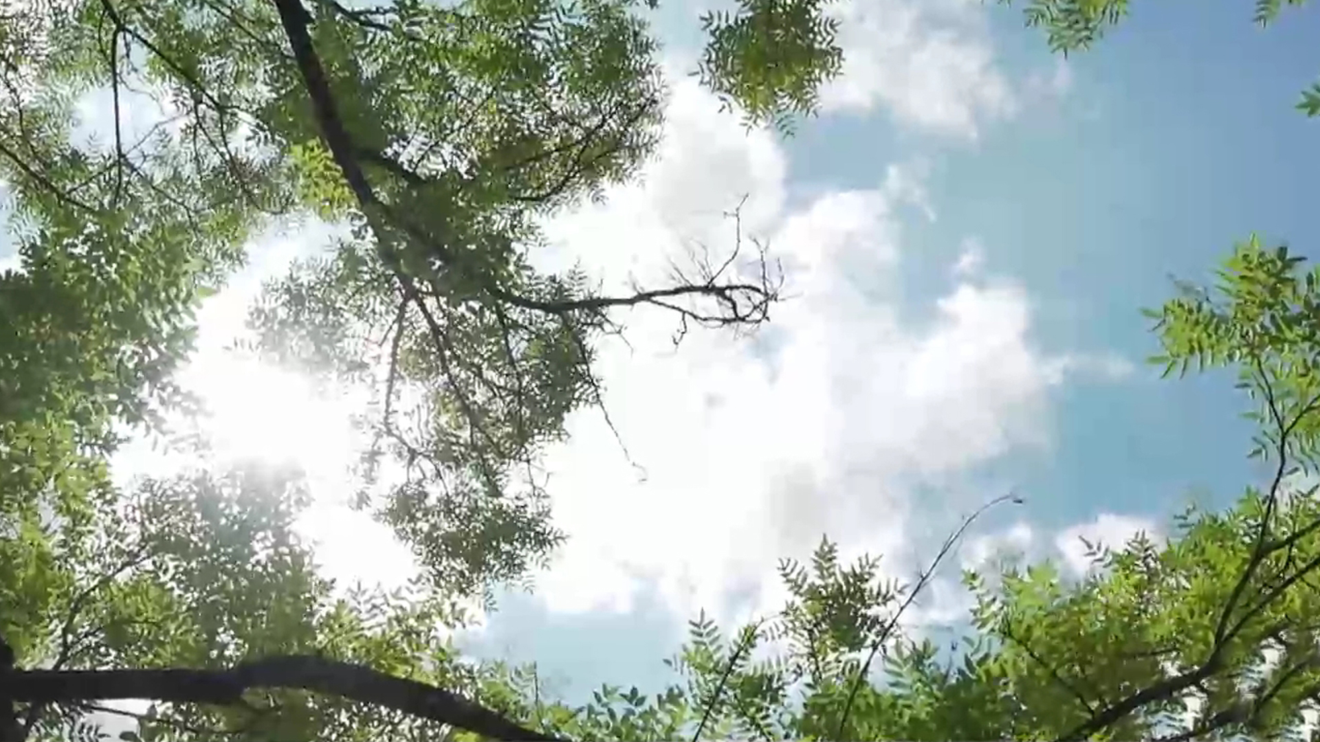 [전북날씨] 늦더위 속 서해안, 남부 지역 5~40mm 소나기