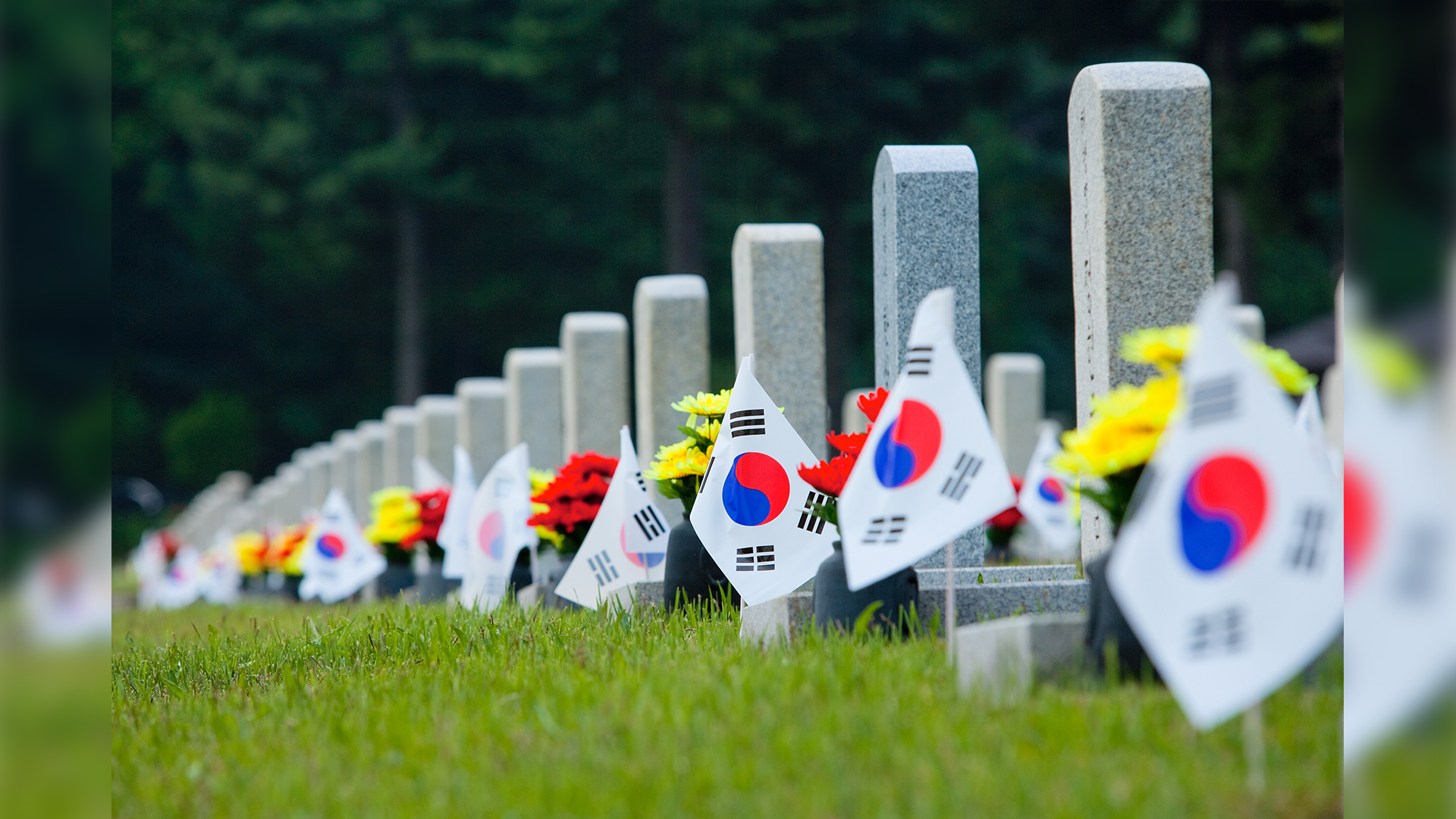 착오 지급 보훈 급여금 증가..회수율은 하락