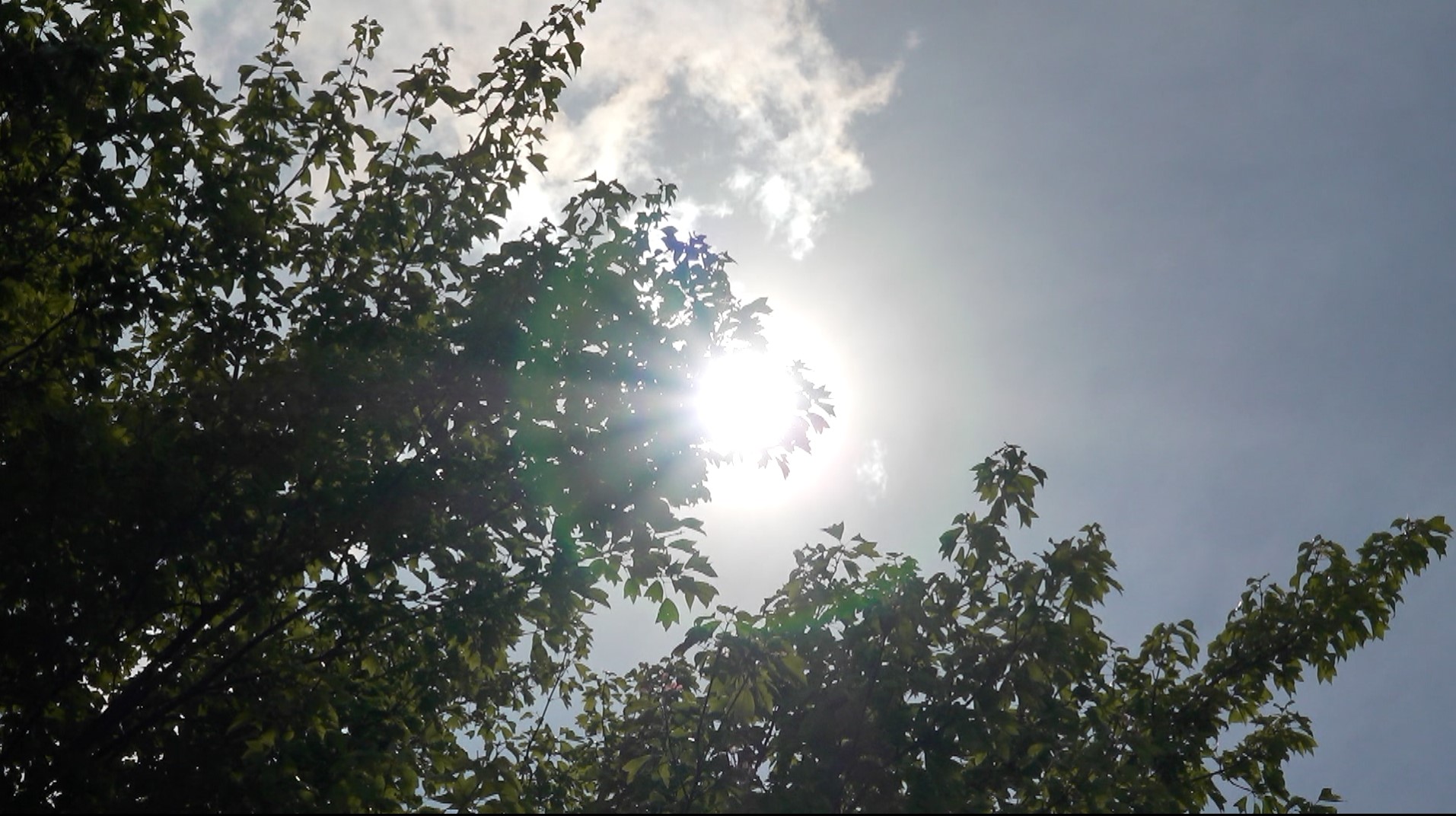 [전북날씨] 흐리고 늦더위 기승..최고체감온도 33도 내외 기록