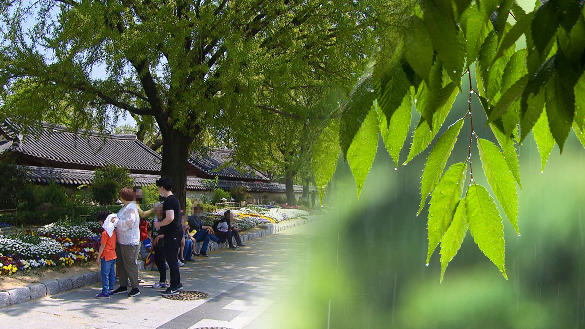 [전북날씨] 낮 최고기온 29~32도..남부는 오후부터 소나기