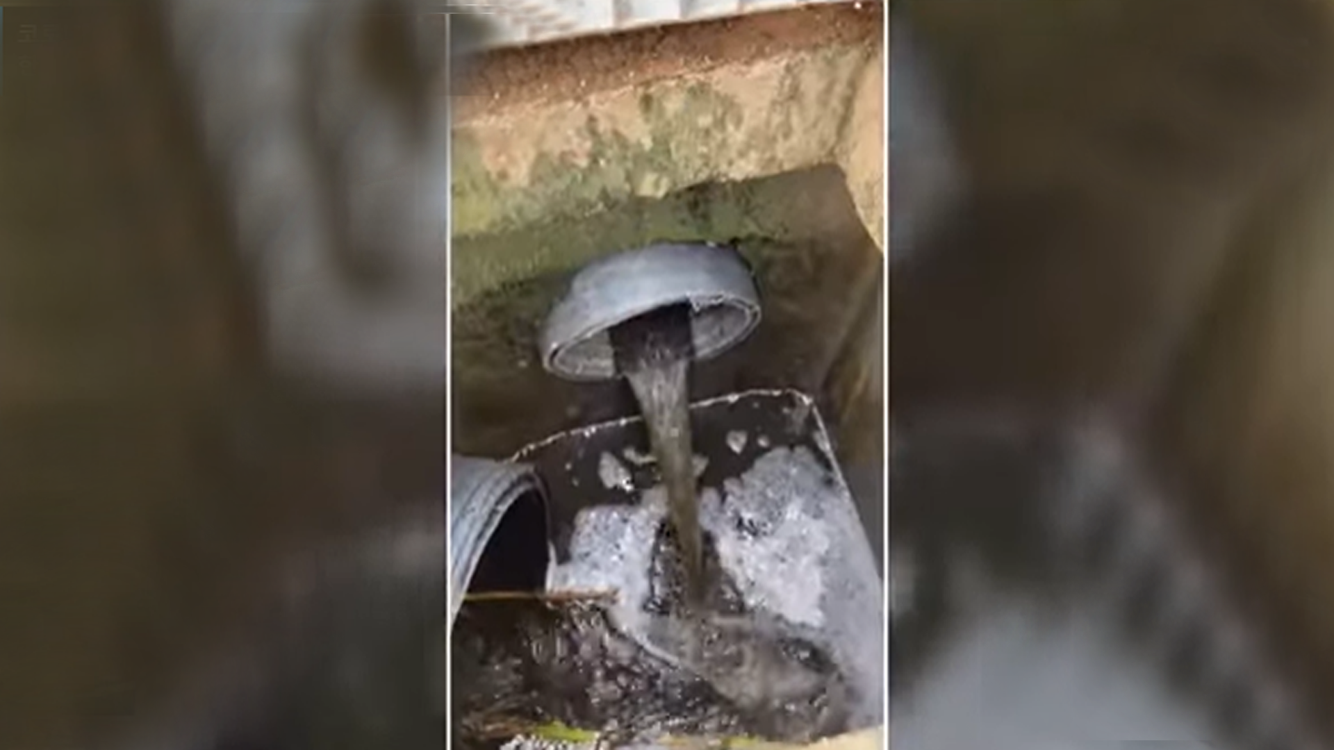 새만금 유역 '가축 분뇨 불법행위' 단속