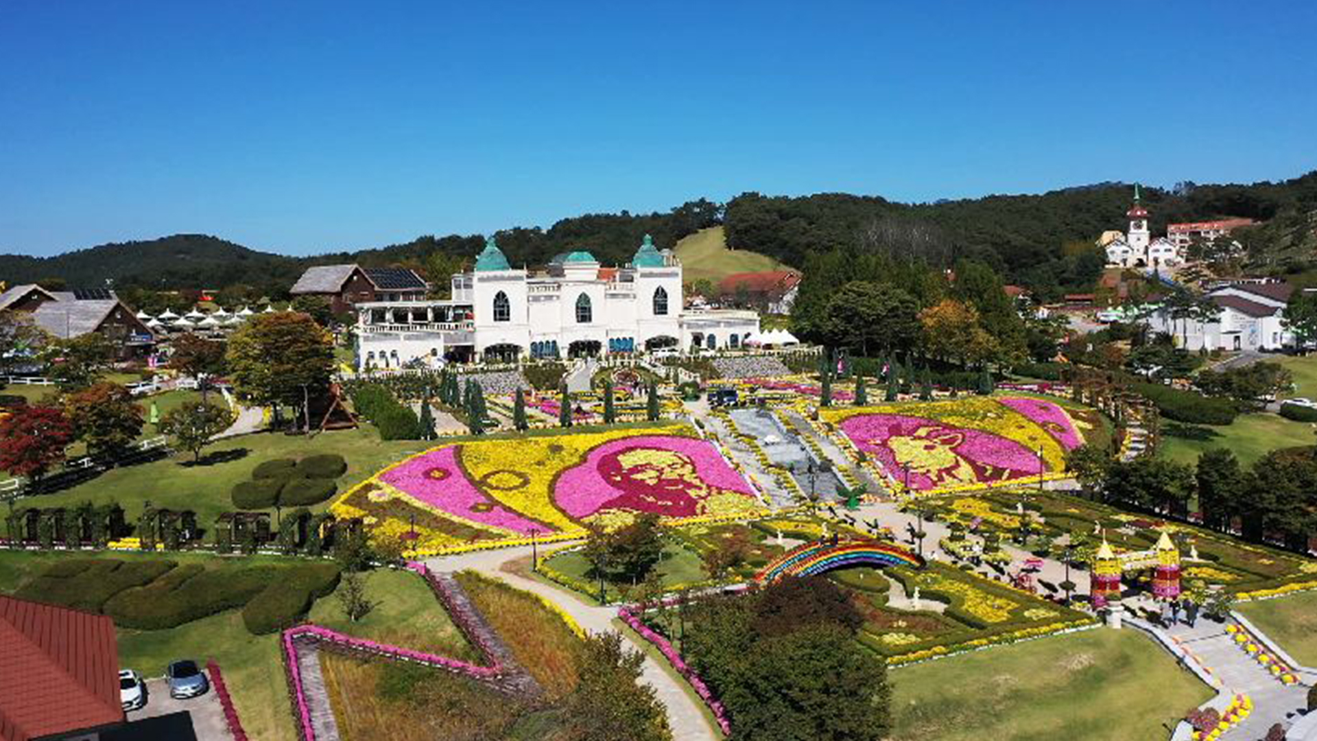 임실치즈테마파크·옥정호·붕어섬, 이번 주말 국화꽃 만개