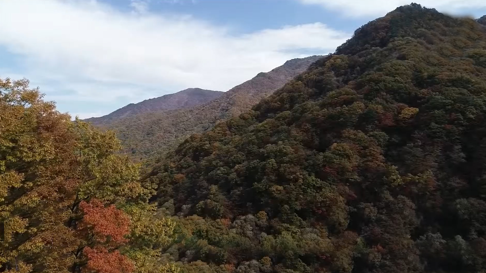 [글로컬 전북] 지역 소식 (남원·정읍·장수·순창)
